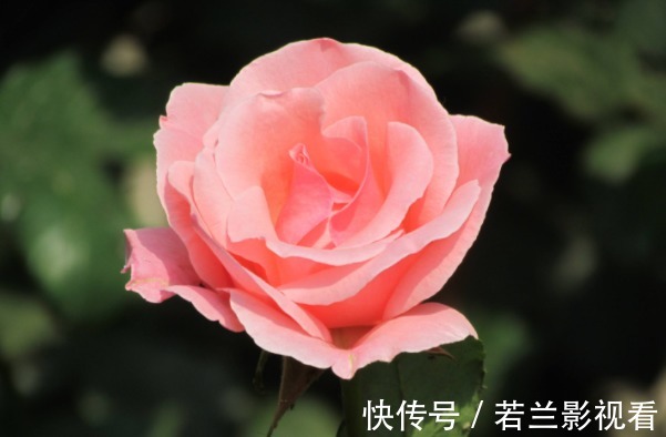 思维方式#老实人心直口快,背会4句为人处世的“口诀”,才能福从口入!