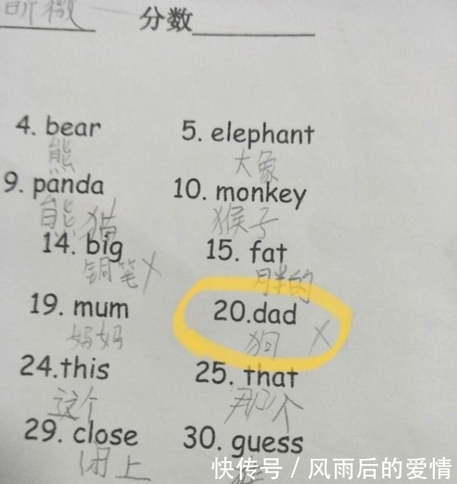 小学生奇葩试卷走红,老师看完笑趴在桌子