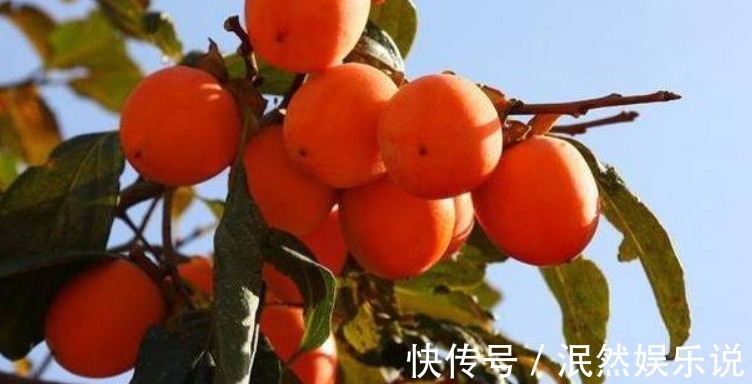 常吃|女性不想肚子鼓鼓,常吃以下食物,排毒燃脂,润肠通便,不容错过