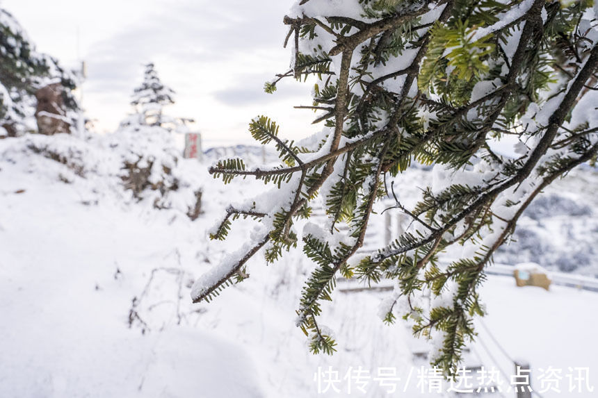 素裹|湖北神农架雪后银装素裹宛如仙境