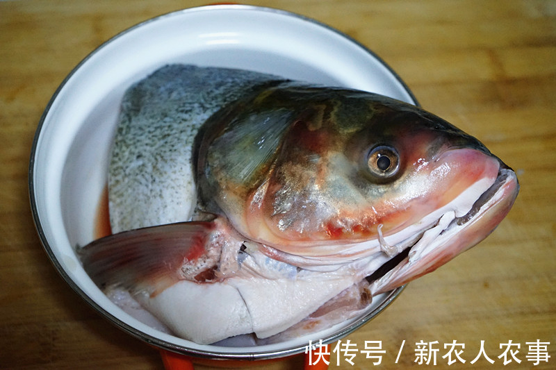 包头鱼|一米长40斤重，安徽一男子钓获“花鲢王”，网友：鱼头就够吃几顿