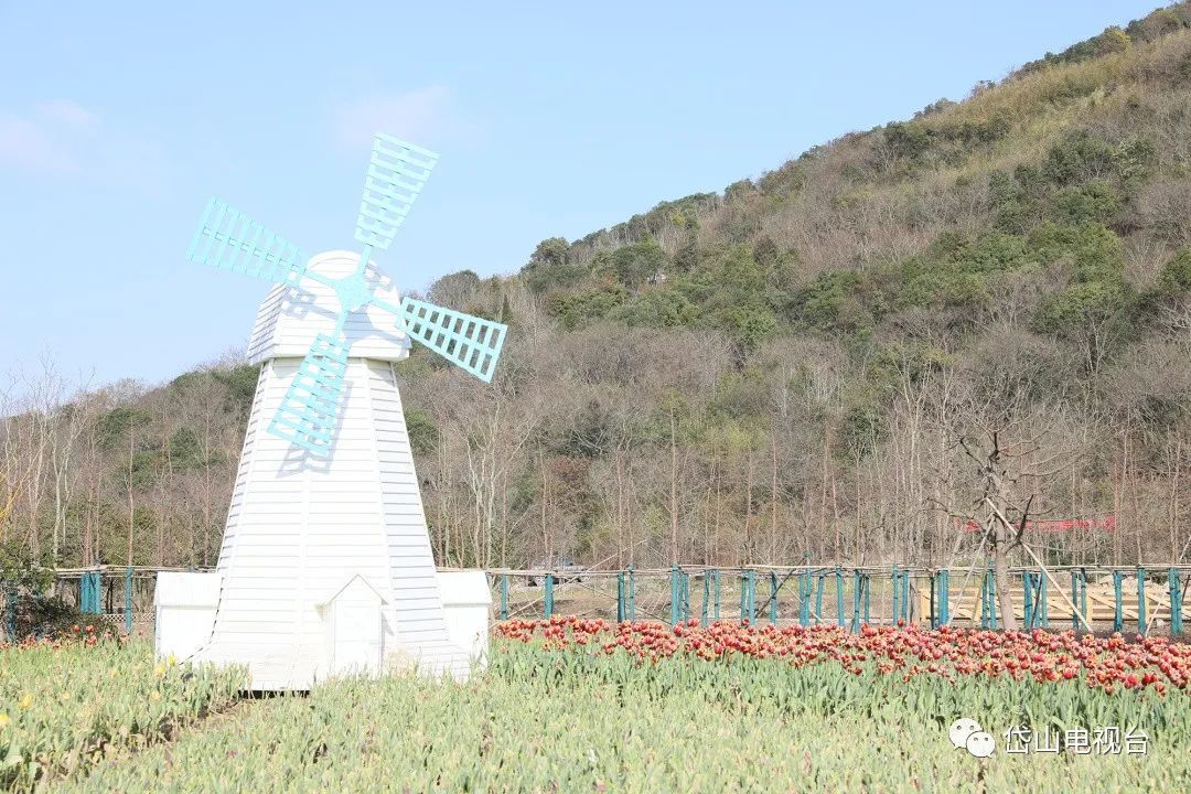 景观|@岱山人，卡丁车场、田埂乐园、儿童探索乐园...岱山这一打卡地要火！