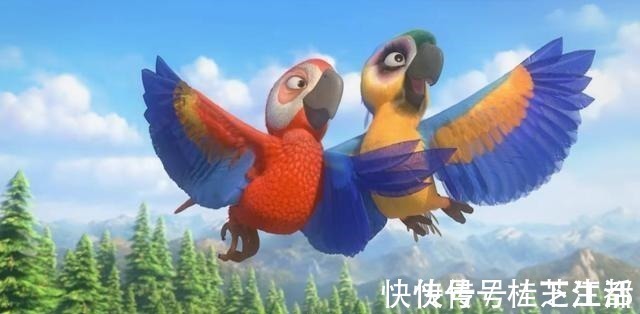 cp|盘点熊出没里最新CP，洞洞幺和豆豆，光头强有了新对象
