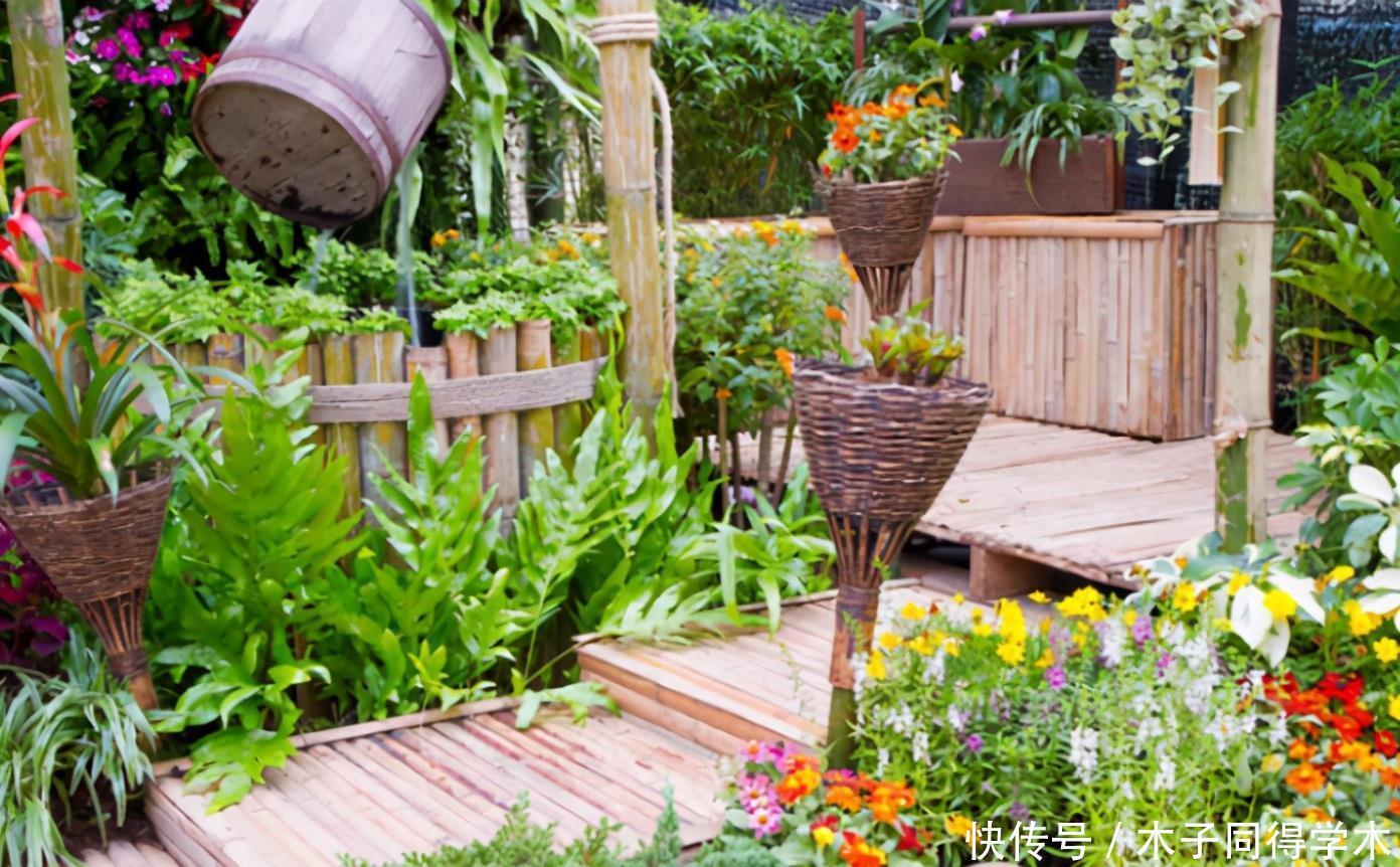 韵味|用这些“物件”当容器养花,打造漂亮花园,看上去更有韵味