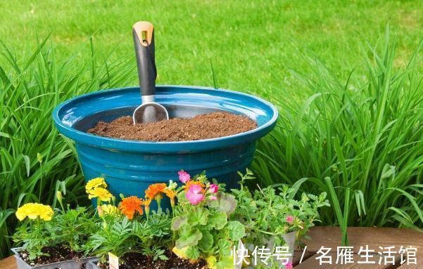 养花的土壤板结?加上4种东西,土壤疏松有劲,养啥都省心