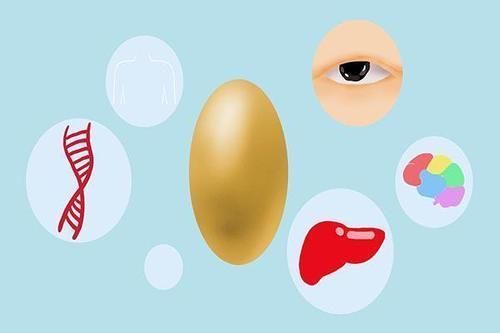 癌症|每天早起吃一个鸡蛋,对身体是好是坏?得了癌症,不能吃鸡蛋?