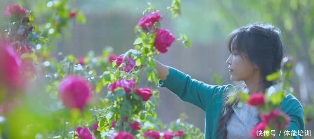 做一桌玫瑰,送给我最爱的你们~