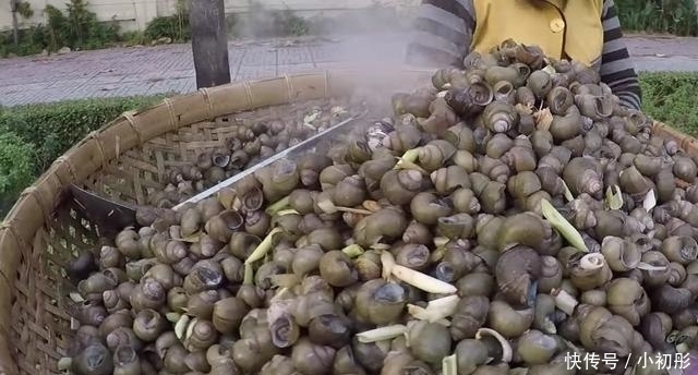 认出|70岁大娘在街边卖“小零嘴”,一斤20,我认出后直接全包下了