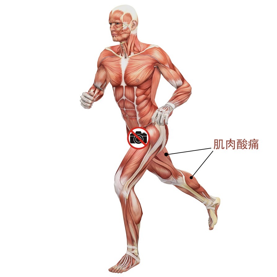 乳酸|怎样避免运动过量后的肌肉酸痛，教你2个自我处理的绝招减轻酸痛