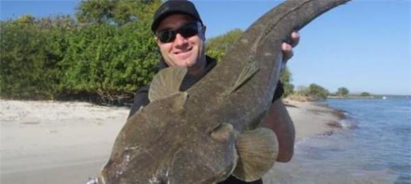 我国|这鱼在我国不值钱，潮汕人懂它的价值，到了日本摇身一变成高档货