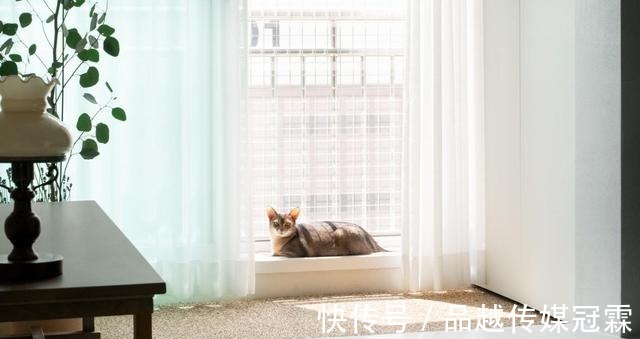 小户型|晒她79平小户型,全屋“水泥”地,不装踢脚线,接地气又百搭!