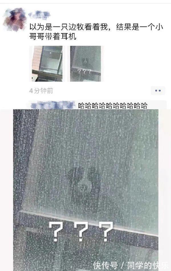 |翻开前信誓旦旦:这一定是米奇 冷段子2023