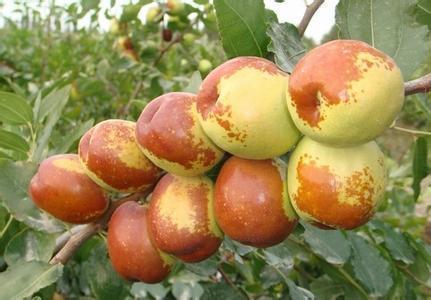 皮肤|女性若不想被叫“老女人”,4种水果要忌口,1种“零食”可多吃