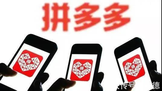 新农人|新青年为何都爱“拼”?
