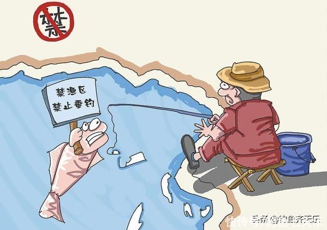 钓友|钓了5斤鲫鱼和白条，被罚4000元！在长江流域钓鱼可不是闹着玩的