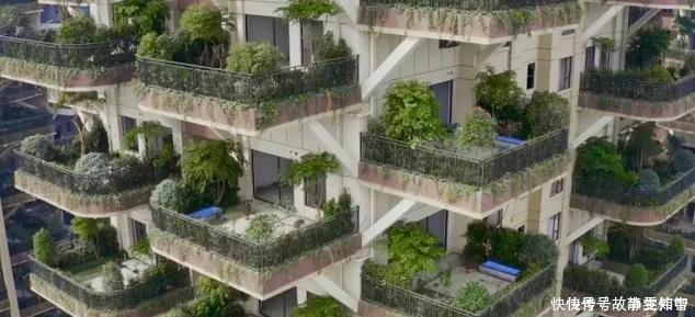 住房|中国“第四代住房”快要到来,我们住的高层电梯房会被淘汰吗