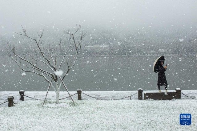 赏雪|杭州：雪落西湖