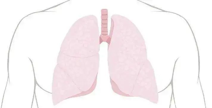 一天一包烟,若出现这4个迹象,说明你的肺已经受损,需戒烟了