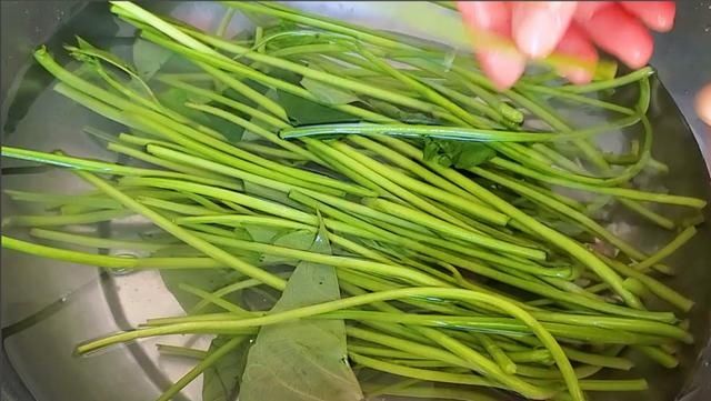 搅拌均匀|夏天，吃凉拌黄瓜不如吃这菜，营养极高，错过等一年，不懂吃亏了