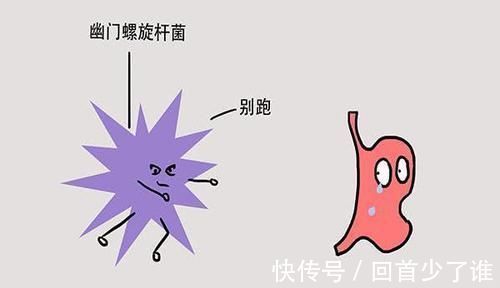 胃溃疡|感染了幽门螺杆菌,一定要多吃“它”,杀菌养胃,胃慢慢变好