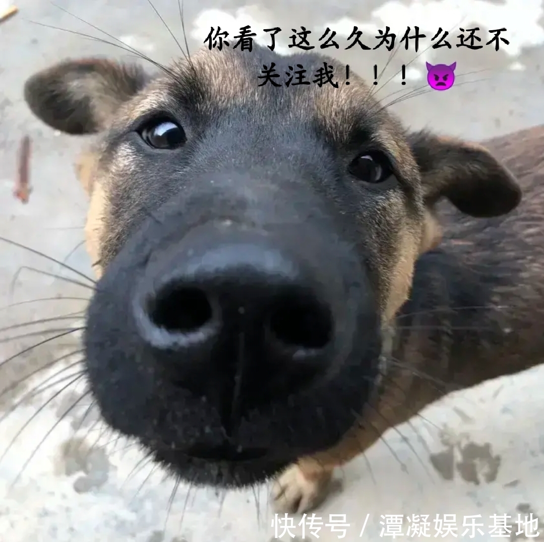 |神段子：全球每天消费上百亿个二维码，用完了以后怎么办？回答乐死