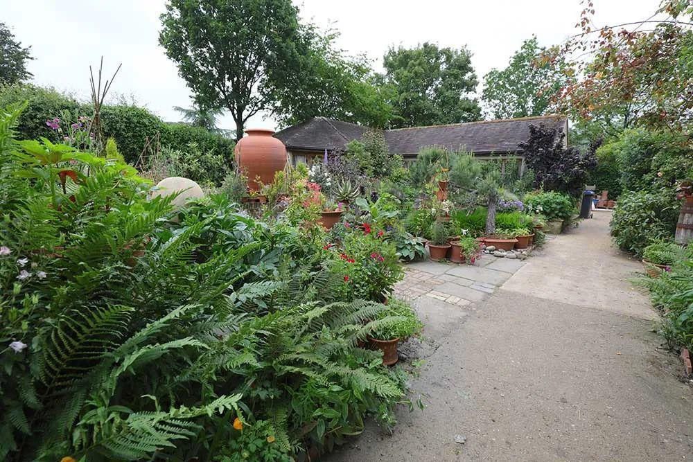  看完这个，想把家里花盆丢了