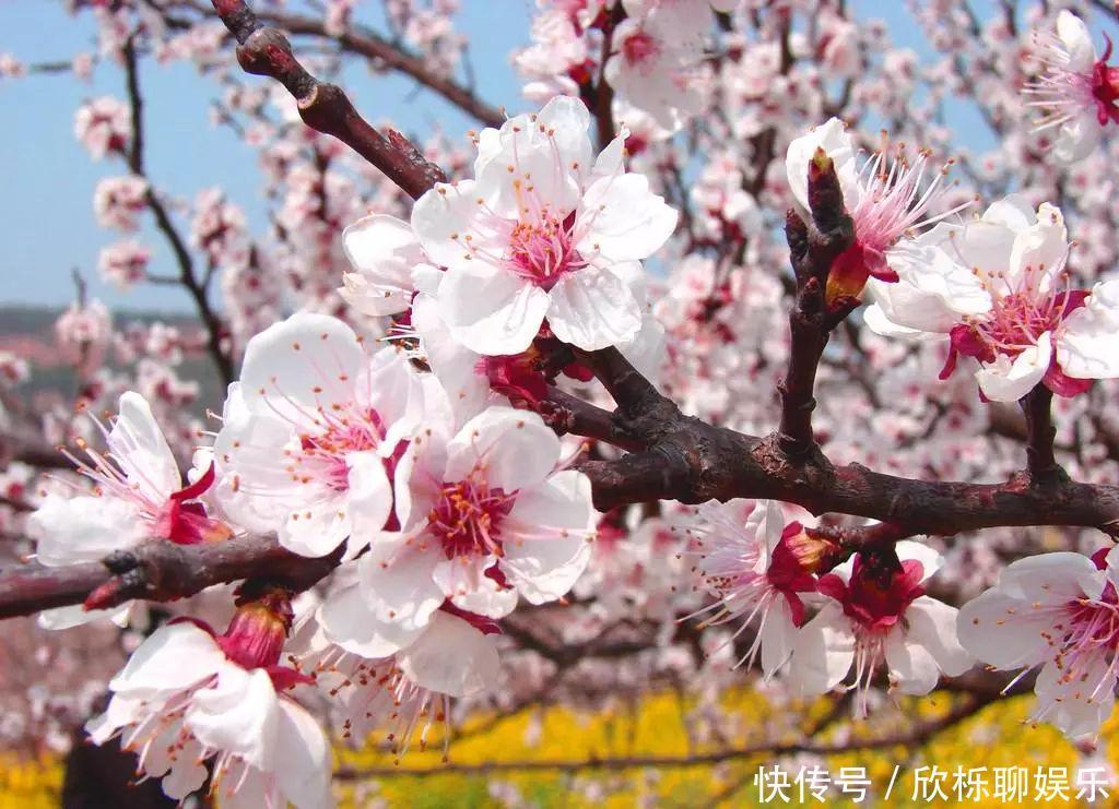 春天来了!两件大事必须要做好,比什么都重要,增强免疫力不生病