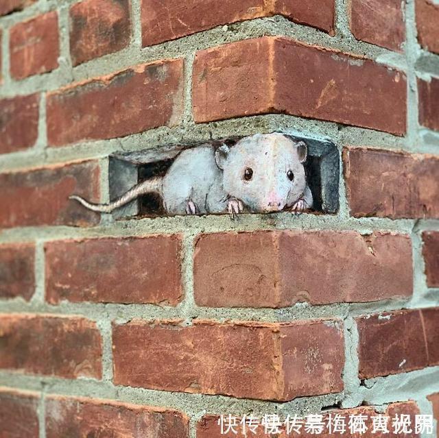 密歇根州!他用粉笔在街边“乱涂乱画”,吸引了百万粉丝,网友:能多来点吗