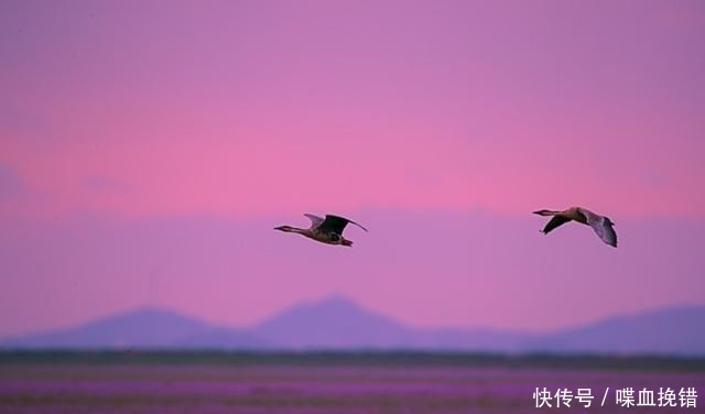 诗人|一个不擅长写边塞诗的诗人,却写出了大唐最辉煌的边塞诗作