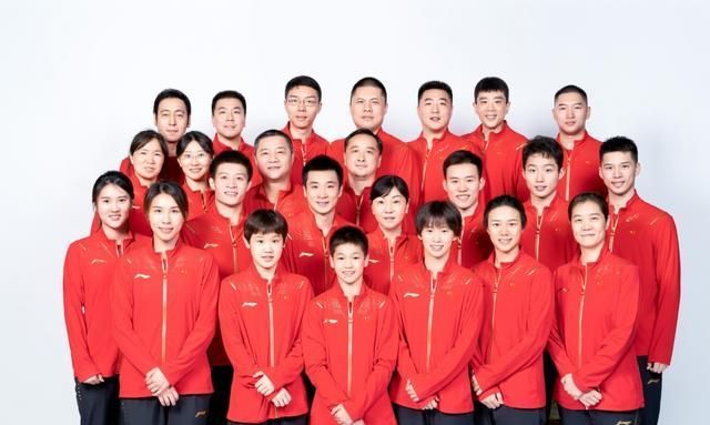 张雨霏|梦之队官宣！全红婵第2次出国+换教练首秀，4大奥运冠军启程西亚