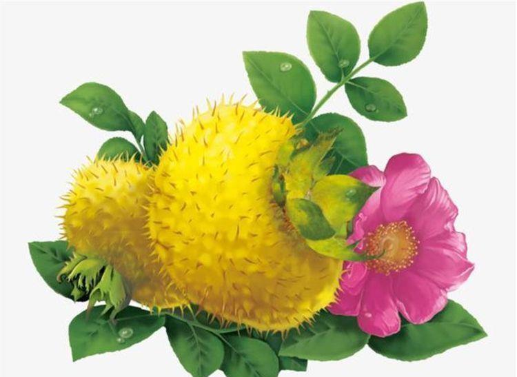 想长寿要会吃,推荐3种食物,降压减脂,疏通血管,好处多多