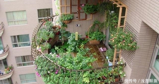 夏季来了,让你阳台爆满,几个小妙招,让你的阳台种上几十盆花