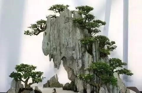 世界上又一奢侈品《盆栽》一盆就是一座房子!