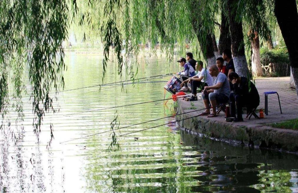 氨基酸|你不知道的用酒米打窝诱鱼技巧!小鱼不闹窝,大鱼全上钩