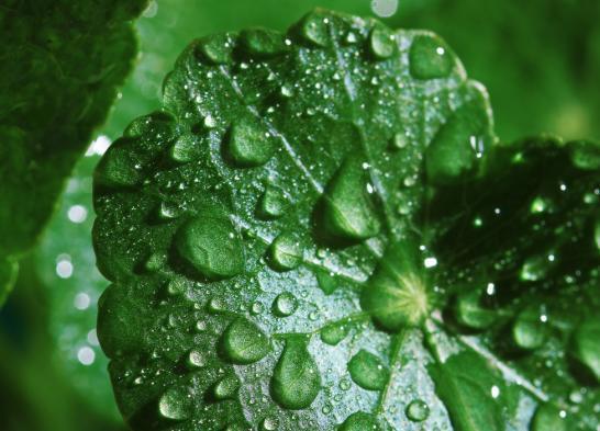 湿气|湿气重,这12条铁律,贵在坚持!戒掉4事,脾健、湿气除,一身轻