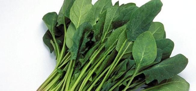 肥胖|湿气重人易肥胖,常吃5种天然食物,排出多年湿毒,体重偷偷下降