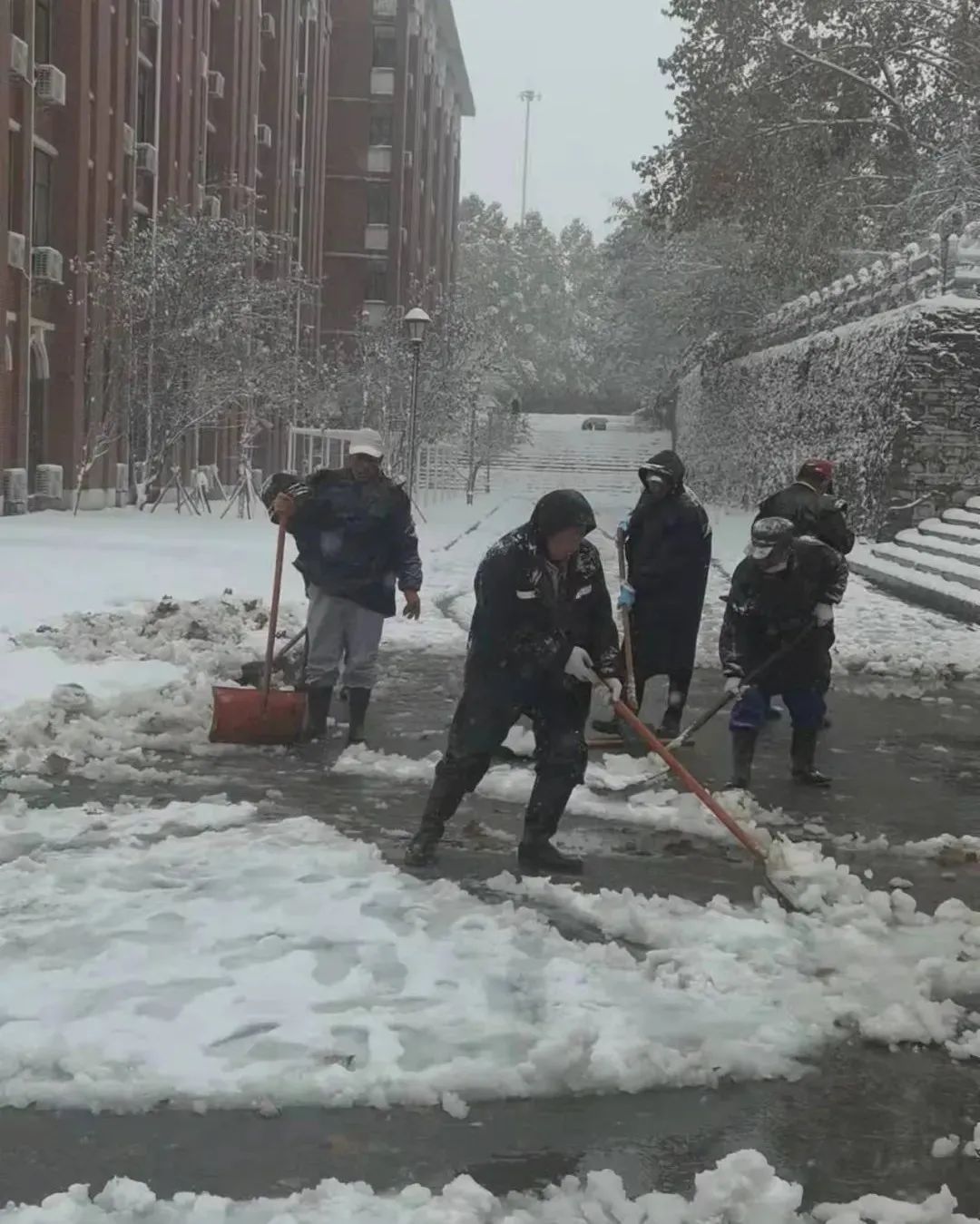 山东交通学院|千里一色！山东高校的“初雪”遇上“立冬”，浪漫绝绝子！