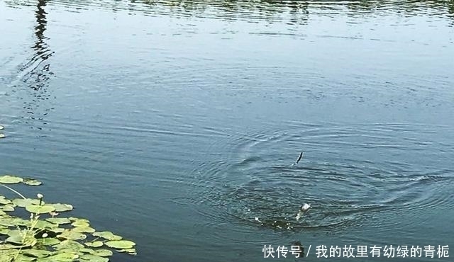 新手钓友牢记钓鱼7忌,虽然不能助你多钓鱼,但也能不让你放炮