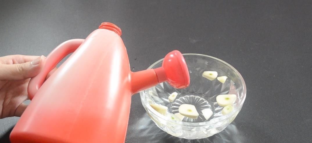 花盆里放瓣大蒜, 没想到作用这么大, 看完你会感谢我的