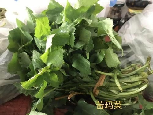 太全了！红河春季野菜大合集来了，快来圈出你最爱哪道菜？