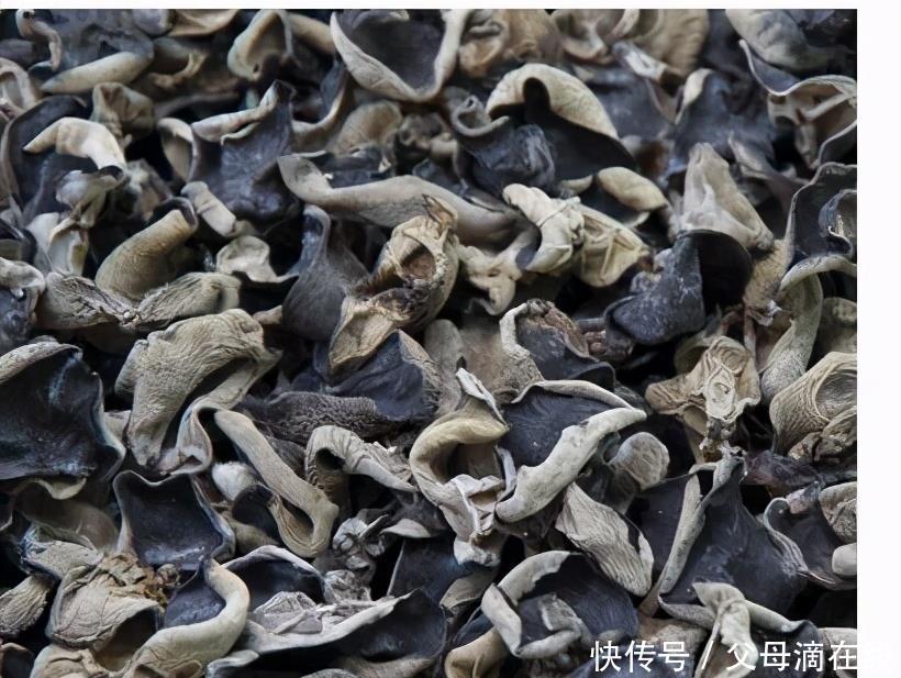 孩子|孩子想要变聪明,3种食物多吃点,营养丰富,健脑益智,不妨一试