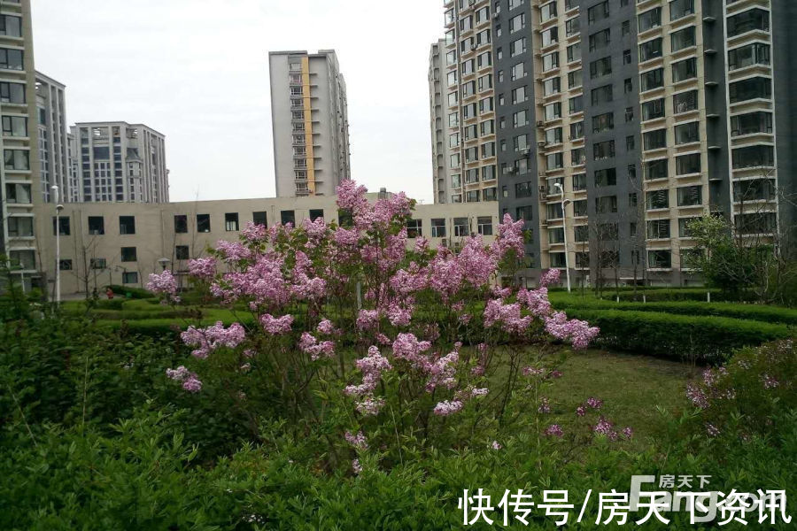 明山区|真能物美价廉？本溪明山区单盘测评抢先看！你看值不值