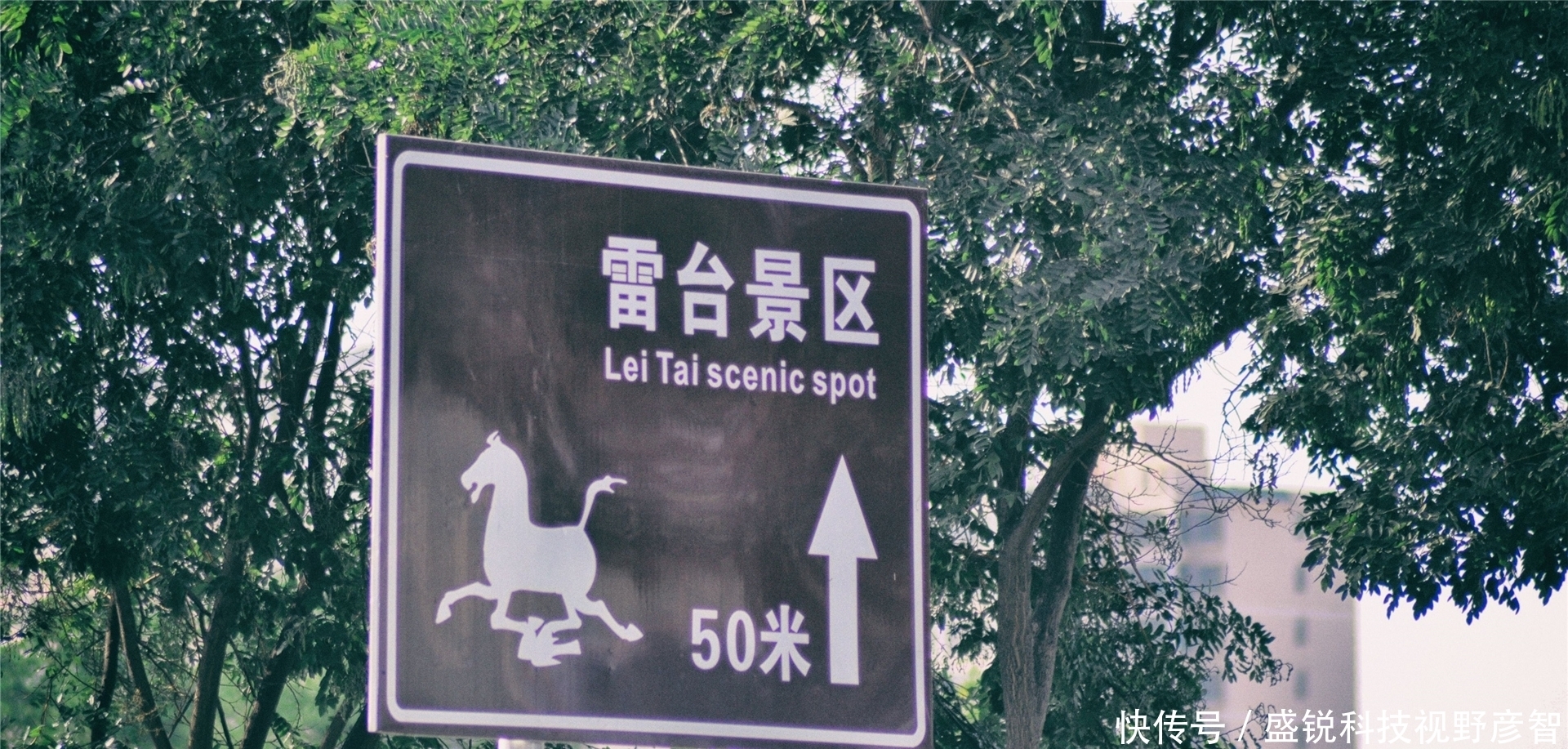 为什么很少见到国宝铜奔马的正脸形象?原来它是个逗比,谁见谁乐