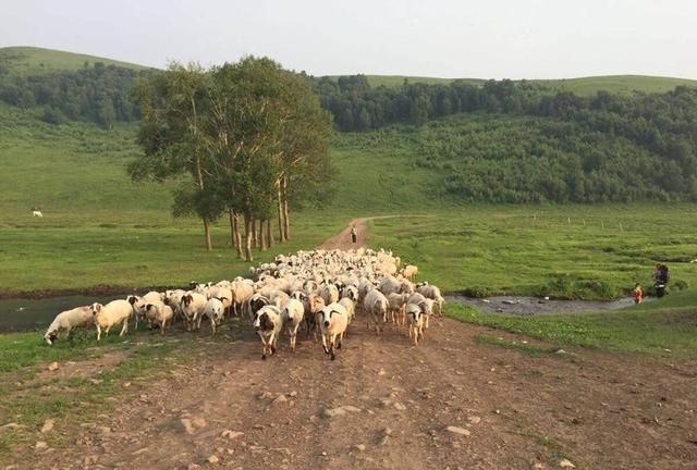 四等秀才|不出名却文采飞扬的3副对联,水平很高,让人打心眼里佩服
