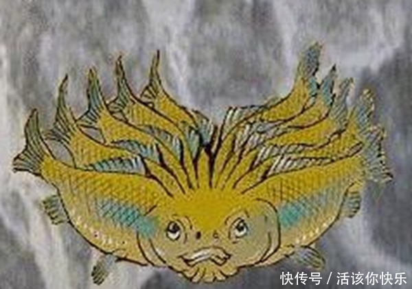 何罗鱼是鱿鱼吗?何罗鱼真实图片,一个脑袋十个身子的怪鱼