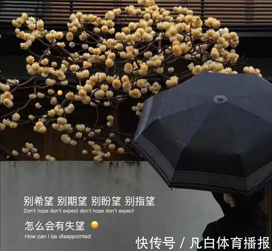 背景图|神仙·背景图朋友圈封面丨望断斜阳人不见,满袖啼红