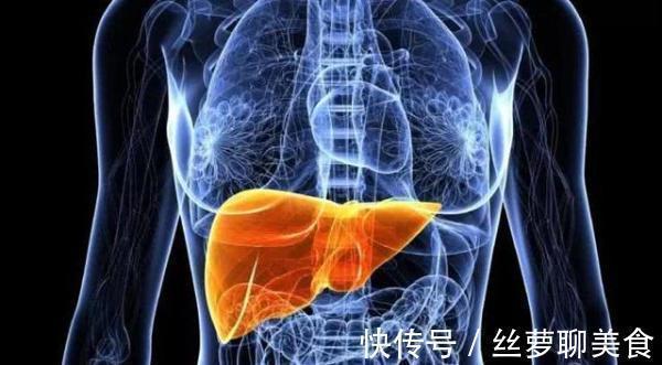 莼菜|肝炎的“天然良药”找到了,坚持每天吃一点,远离肝癌,肝硬化