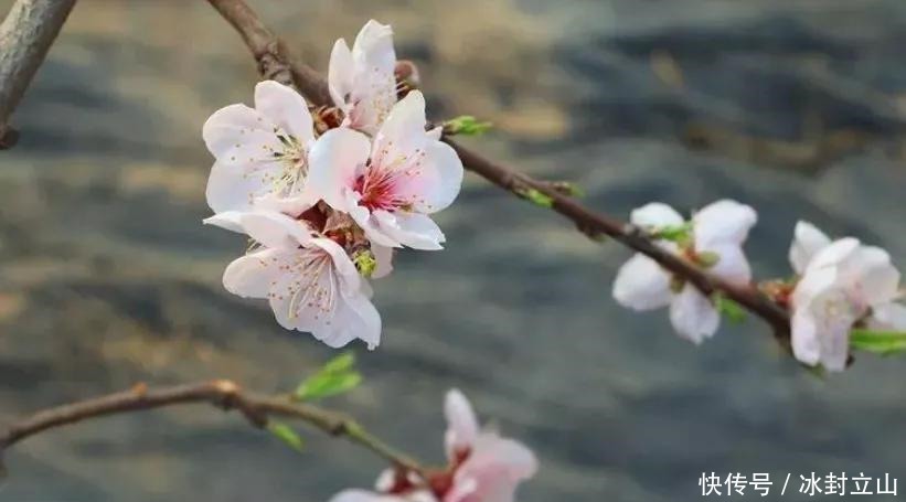 南方冷还是北方冷,古人早已定论