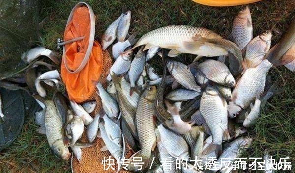 冬季钓鱼有秘诀“9字秘诀”看懂冬钓套路，天冷也能连竿上鱼！