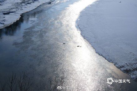 松花江|哈尔滨松花江氤氲蒸腾 野鸭成群结队翩翩起舞